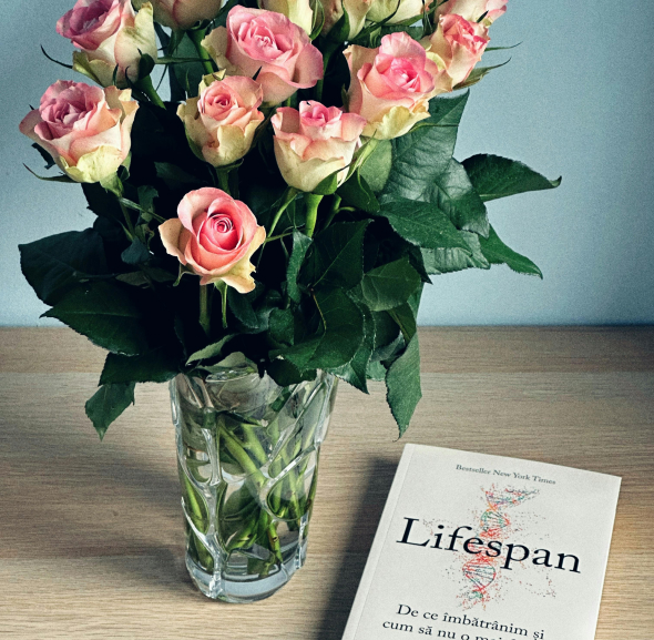 Secondary book cover